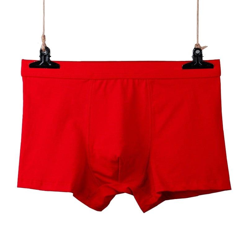 Kristophertunk underwear (Plus sizes) - VERSO QUALITY MATERIALS